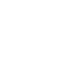 pictogramme Robustesse